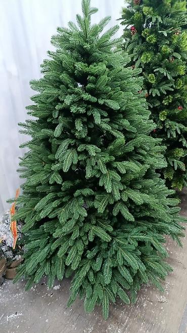 Искусственные ёлки: Искусственные новогодние ёлки премиум-класса. - Варианты дизайна: - — 5