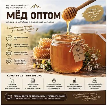 куплю мёд оптом: 🍯 ПРОДАЁМ МЁД ОПТОМ | БОЛЬШИЕ ОБЪЁМЫ Качественный мёд из Кыргызстана — 1