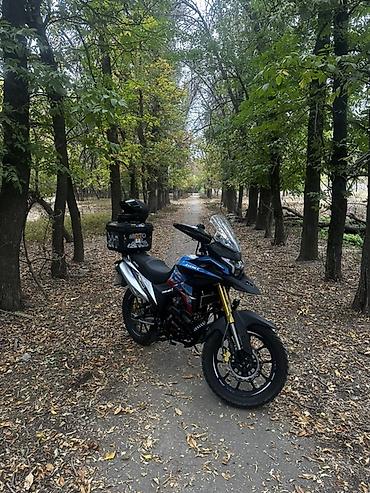 куплю яву мотоцыкыл: Adventure 300 куб. см, Бензин, Взрослый, Б/у — 2