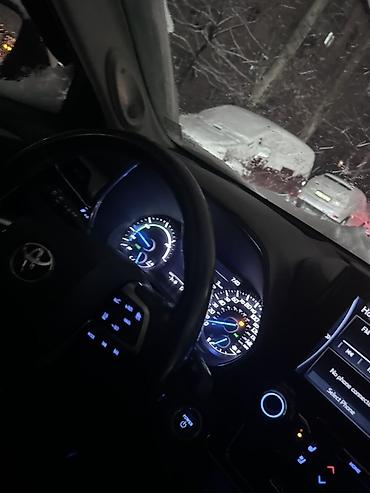 Kia: Kia Sportage: 2019 г., 2 л, Автомат, Дизель, Кроссовер — 10