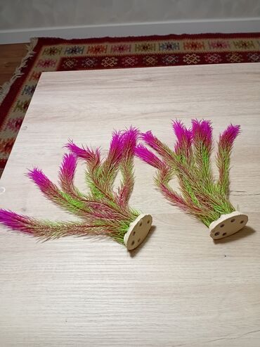 Akvariumlar: Akvaryum uzunluqu 70 eni 26 hündürlüy 46 dı boş 40 man dekor və otlar — 4