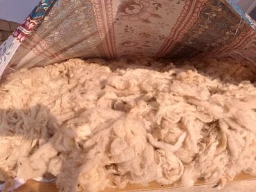Təlim, kurslar: Yuma | Yatacaq dəsti Pulsuz çatdırılma