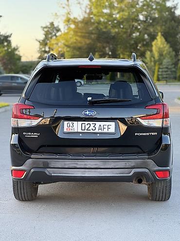 forester: Subaru Forester: 2019 г., 2.5 л, Вариатор, Бензин, Кроссовер — 6