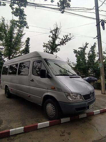 ecco kg: Пассажирский микроавтобус.+ Легковой авто для комфортного отдыха. По — 7