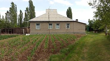 Продажа коттеджей и домов: Продаётся дом Таласская область, Айтматовский район, с. Кызыл-Адыр — 7