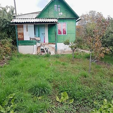 Продажа дач: Дачный участок с садовым домиком и плодовыми деревьями - Участок — 5