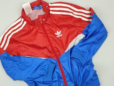 Bluzy: Bluza, Adidas, 5-6 lat, 110-116 cm, stan - Bardzo dobry