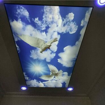 led isqlar: 3D fotopanelli dartma tavan - Tavan üçün fotoçaplı PVC membran: açıq