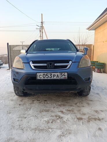 хона: Honda CR-V: 2005 г., 2.4 л, Автомат, Газ, Кроссовер