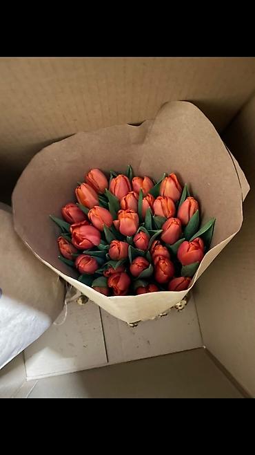Букеты из живых цветов: Дорогие друзья! В продаже голландские тюльпаны выращенные в наших — 14