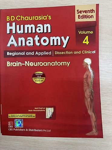 мозг: Полный комплект учебников B. D. Chaurasia’s Human Anatomy, 7-е, 6-е — 5