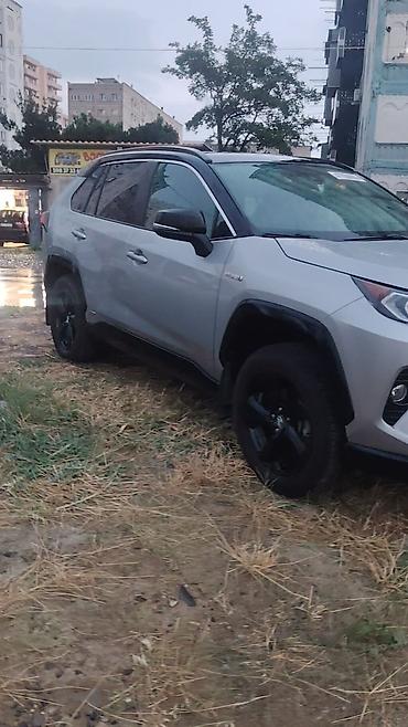 радиатор rav4: Toyota RAV4: 2020 г., Гибрид, Кроссовер — 4