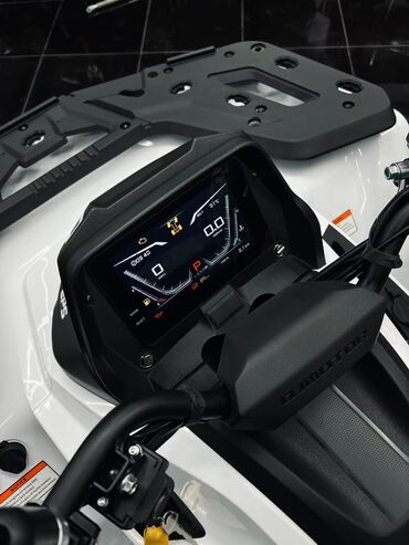 Квадроциклы: Квадроцикл Бензин, 1000 куб. см, Взрослый — 4