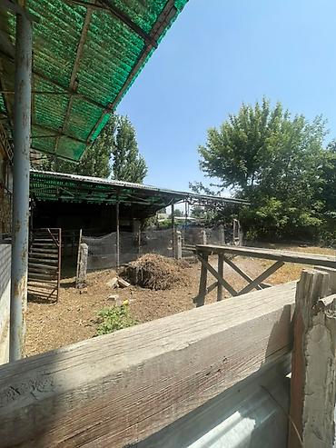 Продажа домов: Дом, 100 м², 5 комнат, Собственник, Косметический ремонт — 11