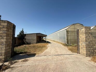 Kommersiya daşınmaz əmlakının satışı: Satılır: 10 hektar çıxarışlı torpaq – müasir istixana və kəsim sahəsi — 4