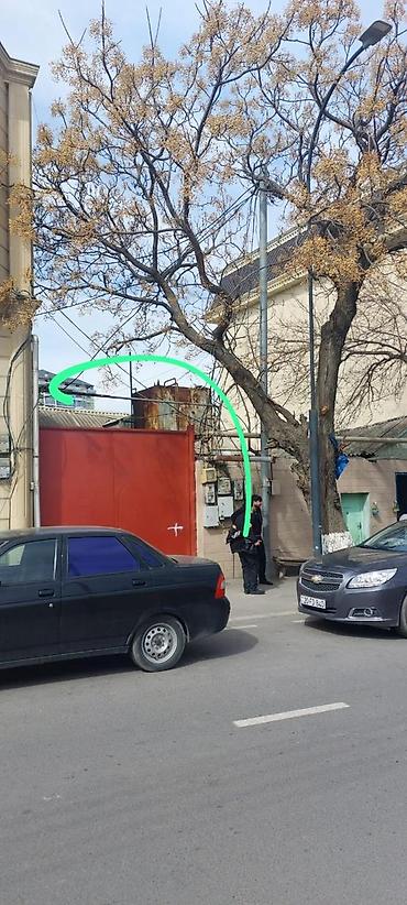 bine atciliq kiraye evler 2026: 7 otaqlı, 250 kv. m, Orta təmir — 1