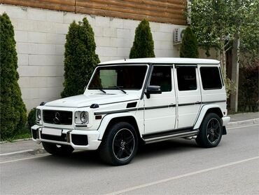 бампер на гелик: Mercedes-Benz G-Class: 2010 г., 5.5 л, Автомат, Бензин, Жол тандабас
