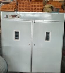 İnkubatorlar: 5000 yumurta, Azərbaycan, Fabrik istehsalı, Tam avtomat, Bütün növ quşlaq üçün