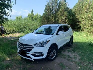 1kr fe: Hyundai Santa Fe: 2017 г., 2.4 л, Автомат, Бензин, Кроссовер