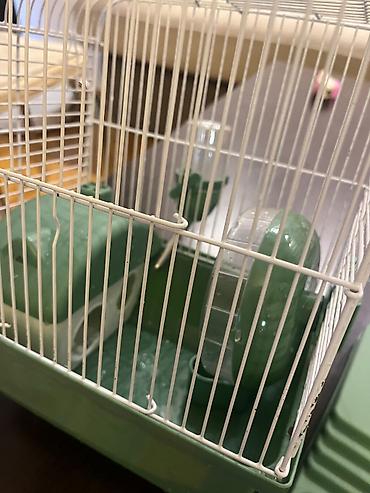 qefes satisi: Hamster ucun qefes satilir, elave oyuncaqlar da var. Icini deyismek — 4