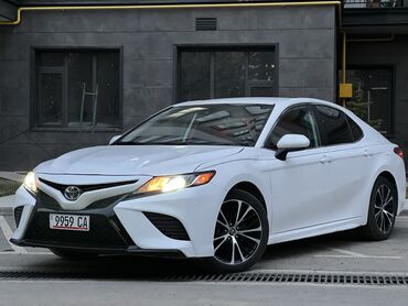 Toyota: Toyota Camry: 2019 г., 2.5 л, Типтроник, Бензин, Седан