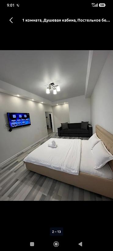 Посуточная аренда квартир: 1 комната, Душевая кабина, Постельное белье, Кондиционер — 18