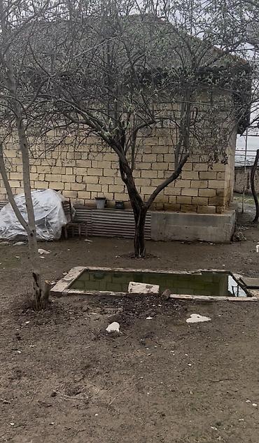 car parking maşın satışı: 20 sot, Tikinti, Mülkiyyətçi, Kupça (Çıxarış) — 4