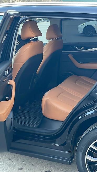 Weltmeister: Weltmeister W6, 2021 г., 79000 км, В наличии — 9