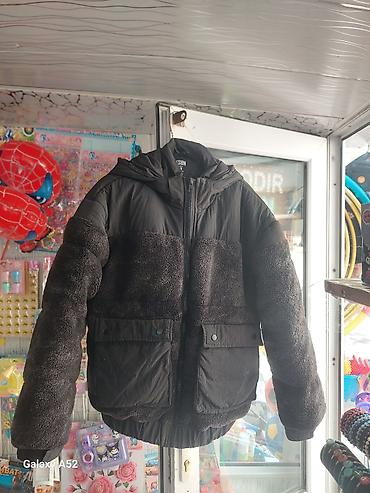 Kurtka, Bolonka, Qış, S lalafo.az -da Kurtka, Bolonka, Qış, S