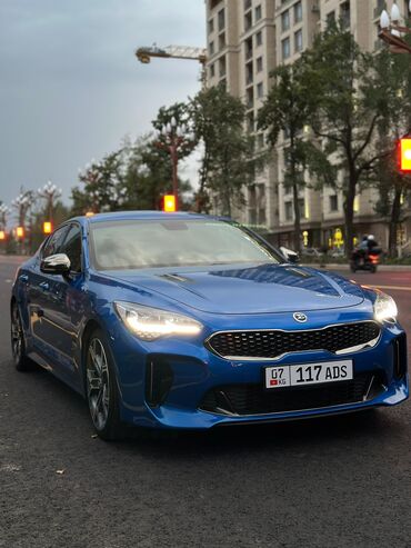 кия салярис: Kia : 2019 г., 2 л, Автоматтык, Бензин