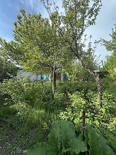 rent room: Срочно ❗️❗️❗️ 🏡 Продаётся дом с участком 8 соток | 5 ГЭС, с. Дачное ✨ — 4