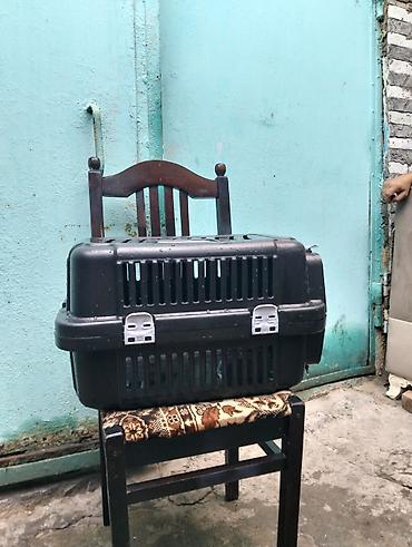 Daşıma çantaları: Ev heyvanı üçün daşıma konteyneri - Material: möhkəm plastik korpus - — 1