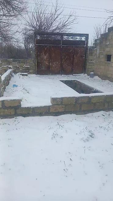 Torpaq sahələrinin satışı: 65 sot, Kənd təsərrüfatı — 3