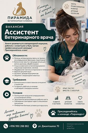 простой: В ветеринарную клинику "Пирамида" требуется Ассистент Ветеринарного — 1