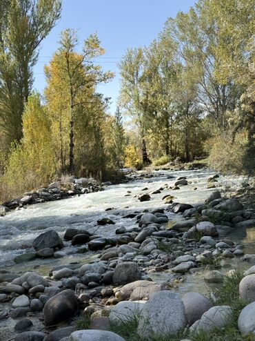 Продажа домов: Дом, 200 м², 6 комнат, Собственник at lalafo.kg — 6 Продажа домов: Дом, 200 м², 6 комнат, Собственник — 6