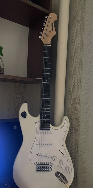 Gitaralar: Elektron gitara, Yamaha, 6 sim