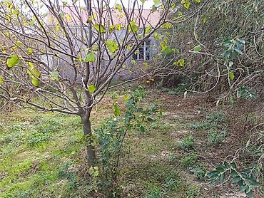 villalar: 1 otaqlı, 8 kv. m, Təmirsiz — 9