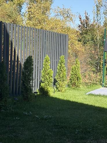 Үйлөрдү ижарага берүү: 🏡 ДАЧА У РЕКИ — село Арашан 🌿 Уютный барнхаус в 30 минутах от — 5