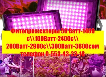 лампа для растений: 🔥 Фито прожекторы ( теплицы оранжереи и т.Д ) - оптовые цены -