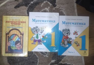 чтение книга: ОСТАЛОСЬ только Литературное чтение(150сом)!!