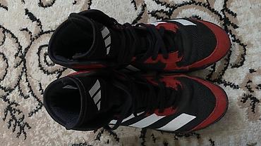 loro pian: Мужские кроссовки, 38.5, Adidas, Новый, цвет - Черный — 4