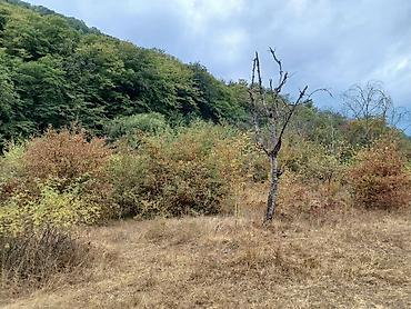 Torpaq sahələrinin satışı: 170 sot, Biznes üçün, Mülkiyyətçi, Kupça (Çıxarış) — 5