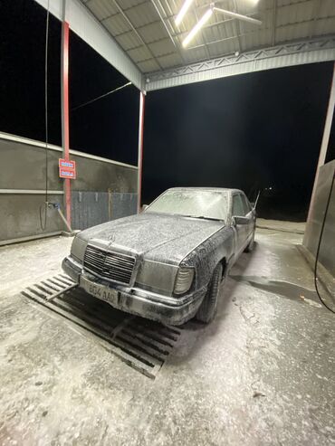 Mercedes-Benz: Mercedes-Benz W124: 1989 г., 2.3 л, Механика, Бензин, Седан — 7