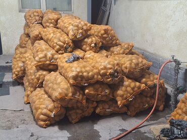 удобрения для газона: Картошка Дүңүнөн