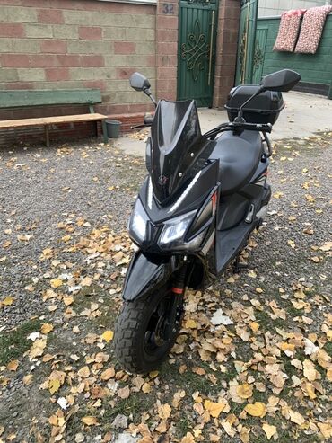 мопеды самурай: Тип скутера 150 куб. см, Бензин, Новый