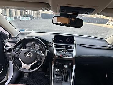 Lexus: Lexus NX: 2020 г., Автомат, Бензин — 13