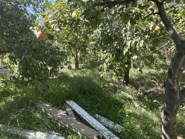 Продажа домов: Дом, 58 м², 4 комнаты, Собственник, ПСО (под самоотделку) — 11