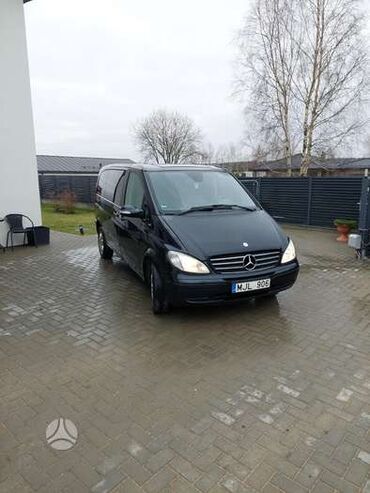 Tabutlar: Cənazənin son mənzilə yola salınması üçün xüsusi dəfn. Avtomobil — 3