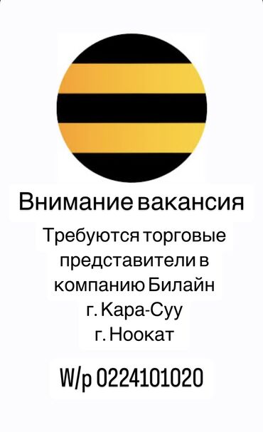 лининг бишкек вакансии: Требуется Торговый агент, График: Пятидневка, Менее года опыта, Карьерный рост, Полный рабочий день