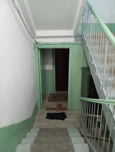 Другие малярные работы: Больше 6 лет опыта — 12